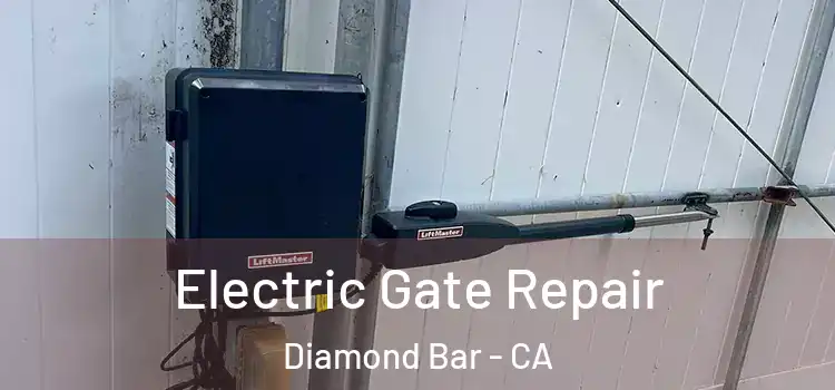 Electric Gate Repair Diamond Bar - CA