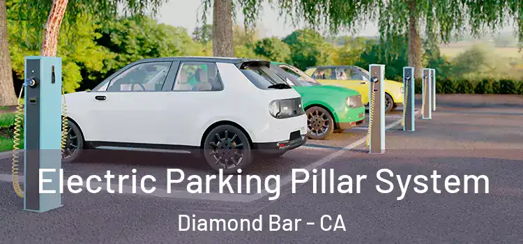 Electric Parking Pillar System Diamond Bar - CA