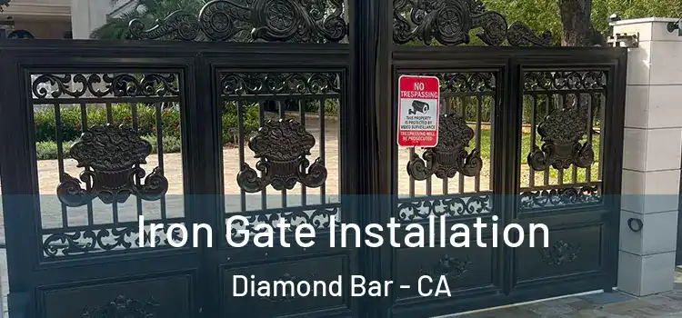 Iron Gate Installation Diamond Bar - CA