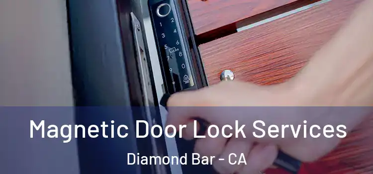 Magnetic Door Lock Services Diamond Bar - CA