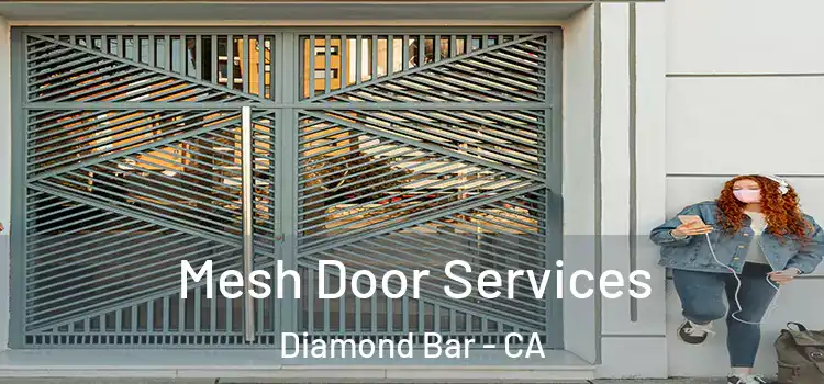 Mesh Door Services Diamond Bar - CA